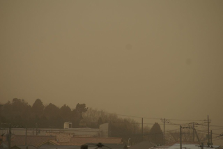 Illustration for article titled Sand, Smog, or Something Covered Japan in a Yellow Haze